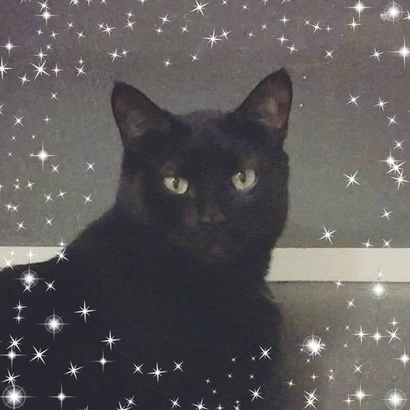 Meet your Posher, Heidi - Picture 1 of 1